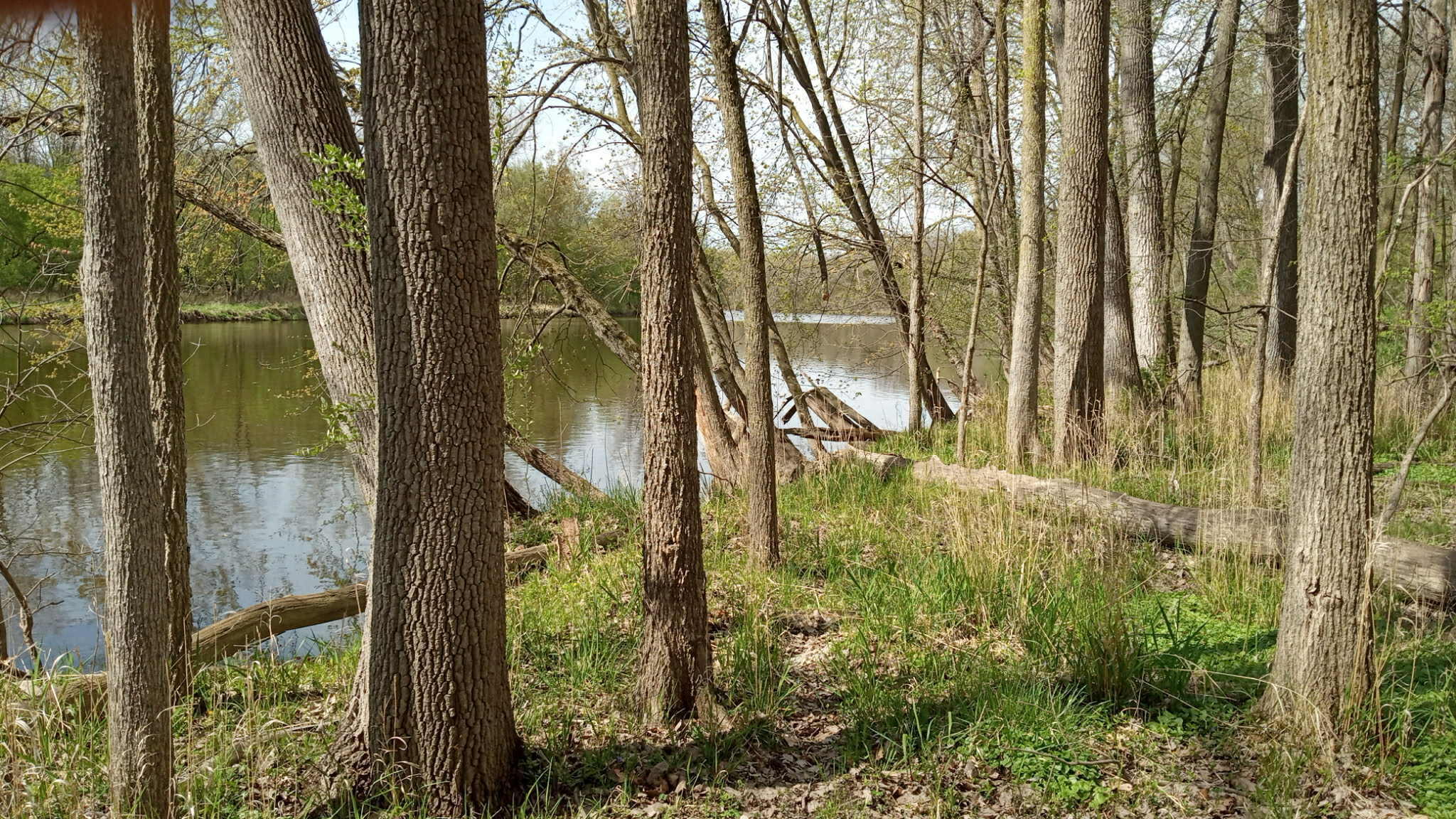 781 Hopkins Road Lyons, MI 48851 - Photo 111 of 128 a83fb40d-1f3e-4fdf-a3bb-e970f8361821