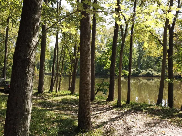 $3,329,000 | 781 Hopkins Road, Lyons, MI 48851