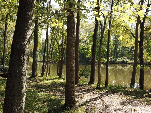 $3,329,000 | 781 Hopkins Road, Lyons, MI 48851