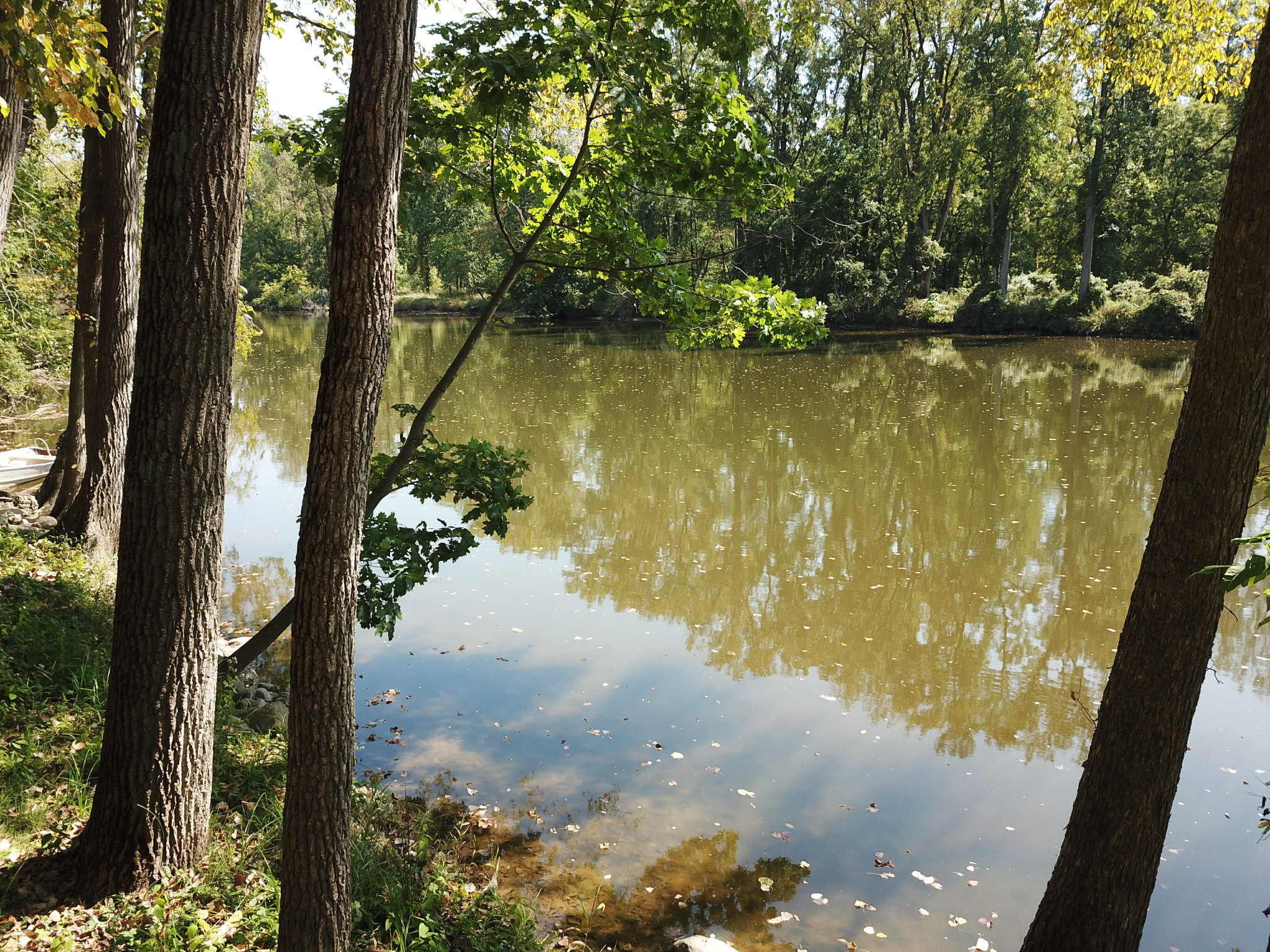 781 Hopkins Road Lyons, MI 48851 - Photo 113 of 128 714be6c4-d983-4178-b8fb-b04f5adcb823