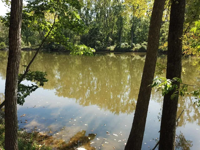 $3,329,000 | 781 Hopkins Road, Lyons, MI 48851