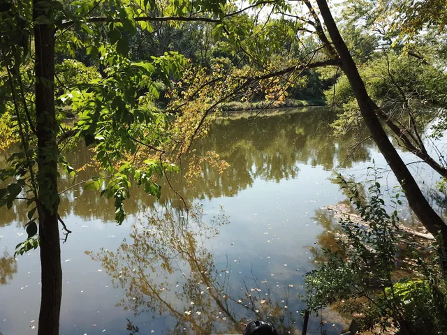 $3,329,000 | 781 Hopkins Road, Lyons, MI 48851