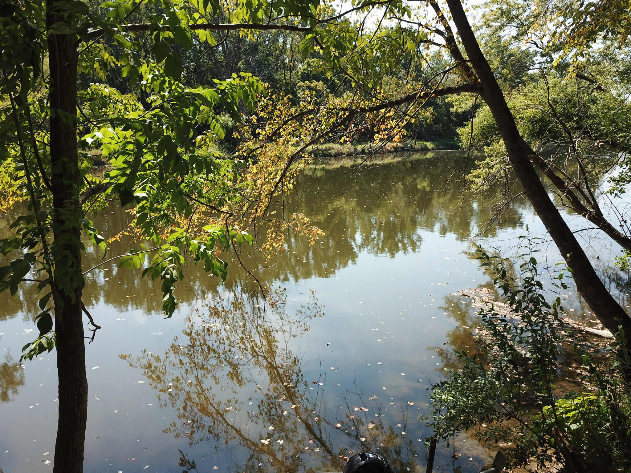 781 Hopkins Road Lyons, MI 48851 - Photo 115 of 128 0d3cf705-73d9-4622-80f2-4dfaff64e10a