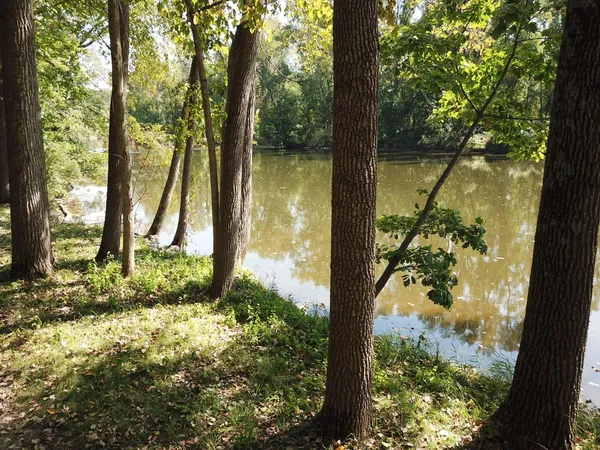 $3,329,000 | 781 Hopkins Road, Lyons, MI 48851