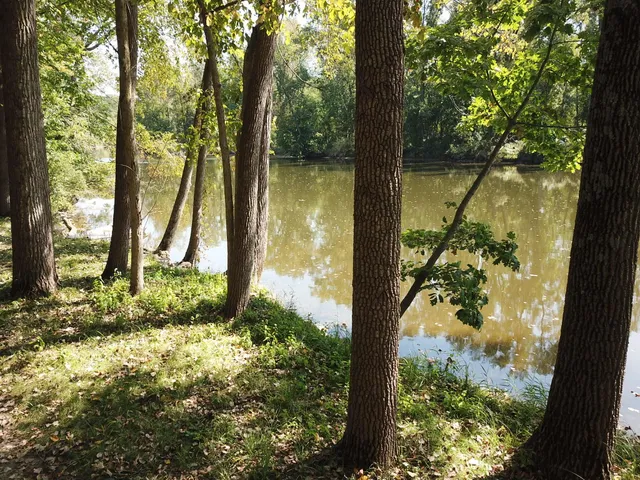 $3,329,000 | 781 Hopkins Road, Lyons, MI 48851