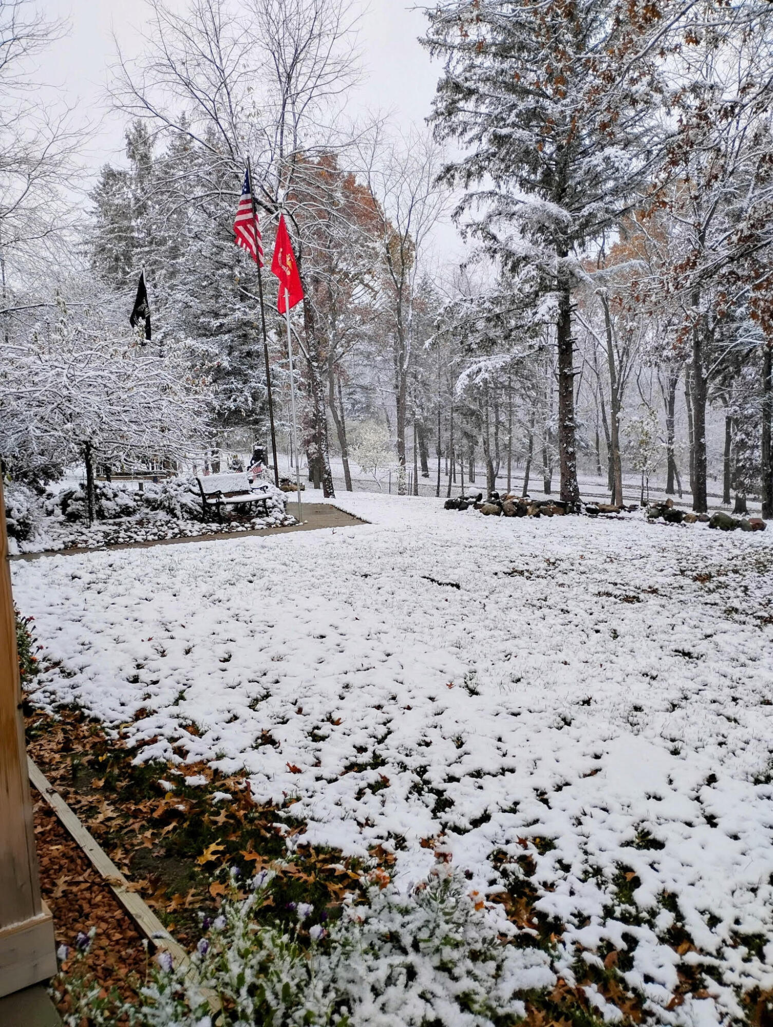 781 Hopkins Road Lyons, MI 48851 - Photo 117 of 128 winter 1