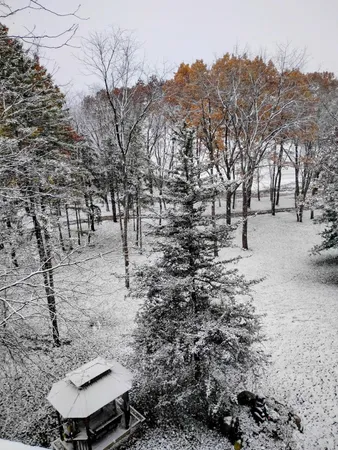 $3,329,000 | 781 Hopkins Road, Lyons, MI 48851