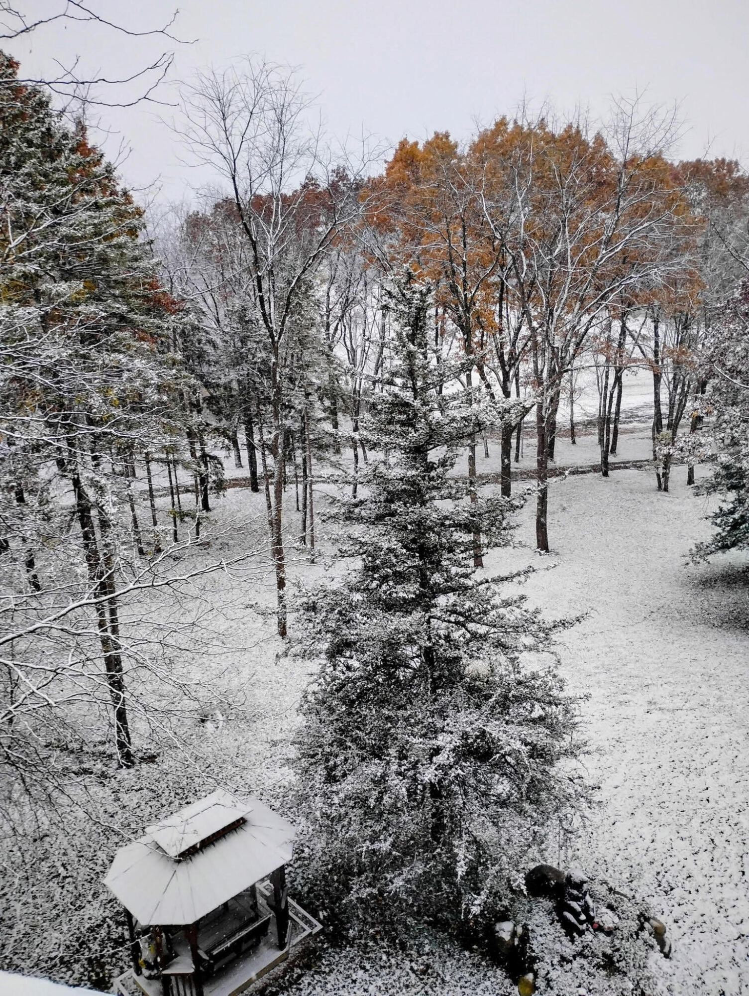 781 Hopkins Road Lyons, MI 48851 - Photo 119 of 128 winter 3