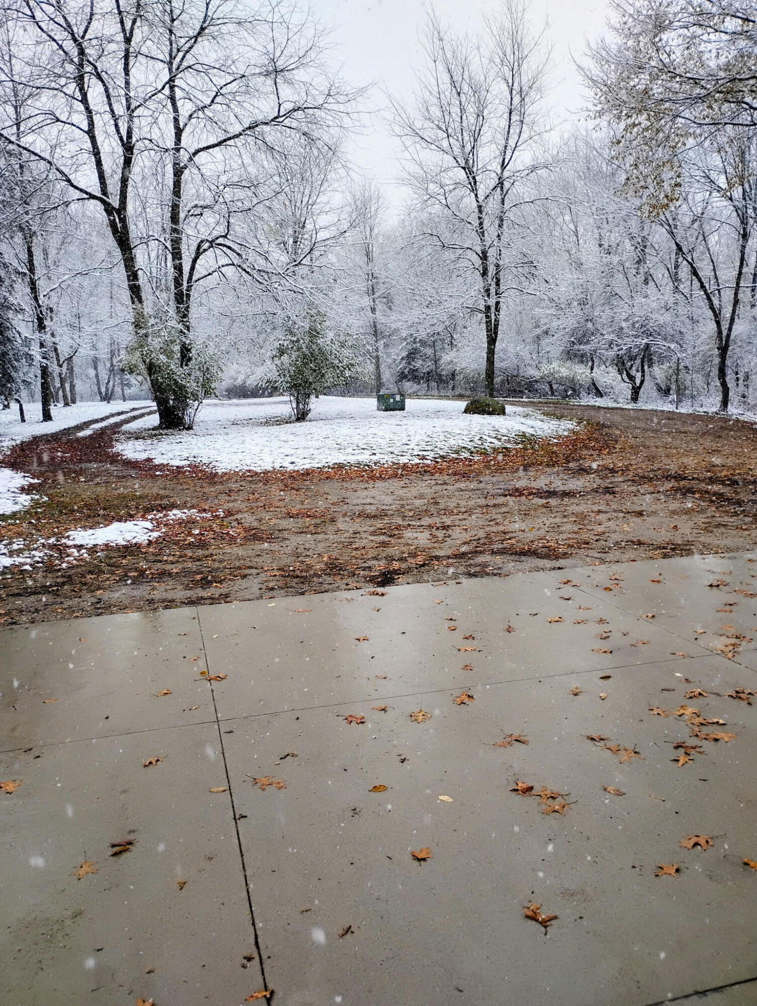 781 Hopkins Road Lyons, MI 48851 - Photo 120 of 128 winter 2