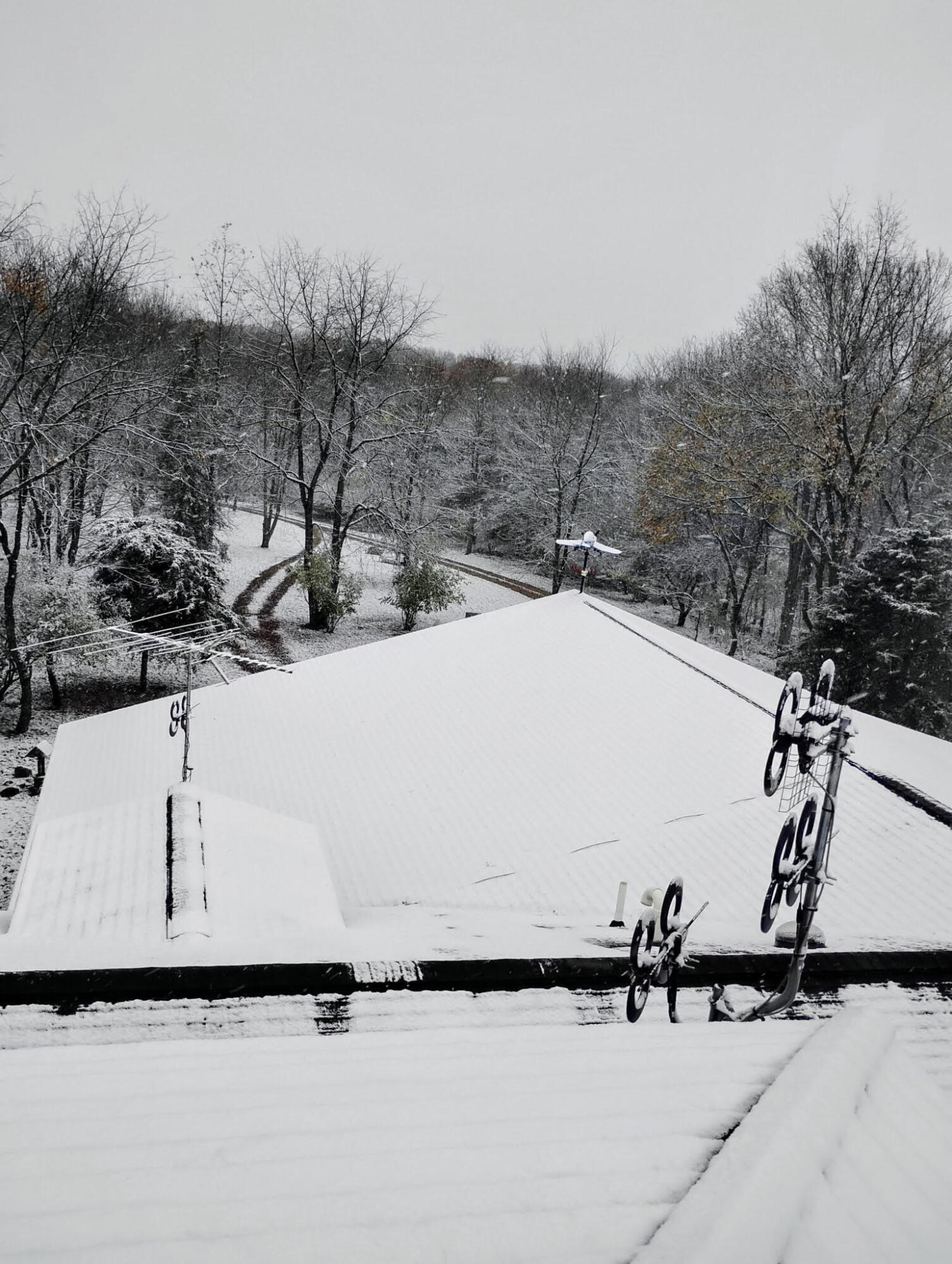 781 Hopkins Road Lyons, MI 48851 - Photo 121 of 128 winter 6