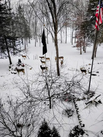 $3,329,000 | 781 Hopkins Road, Lyons, MI 48851