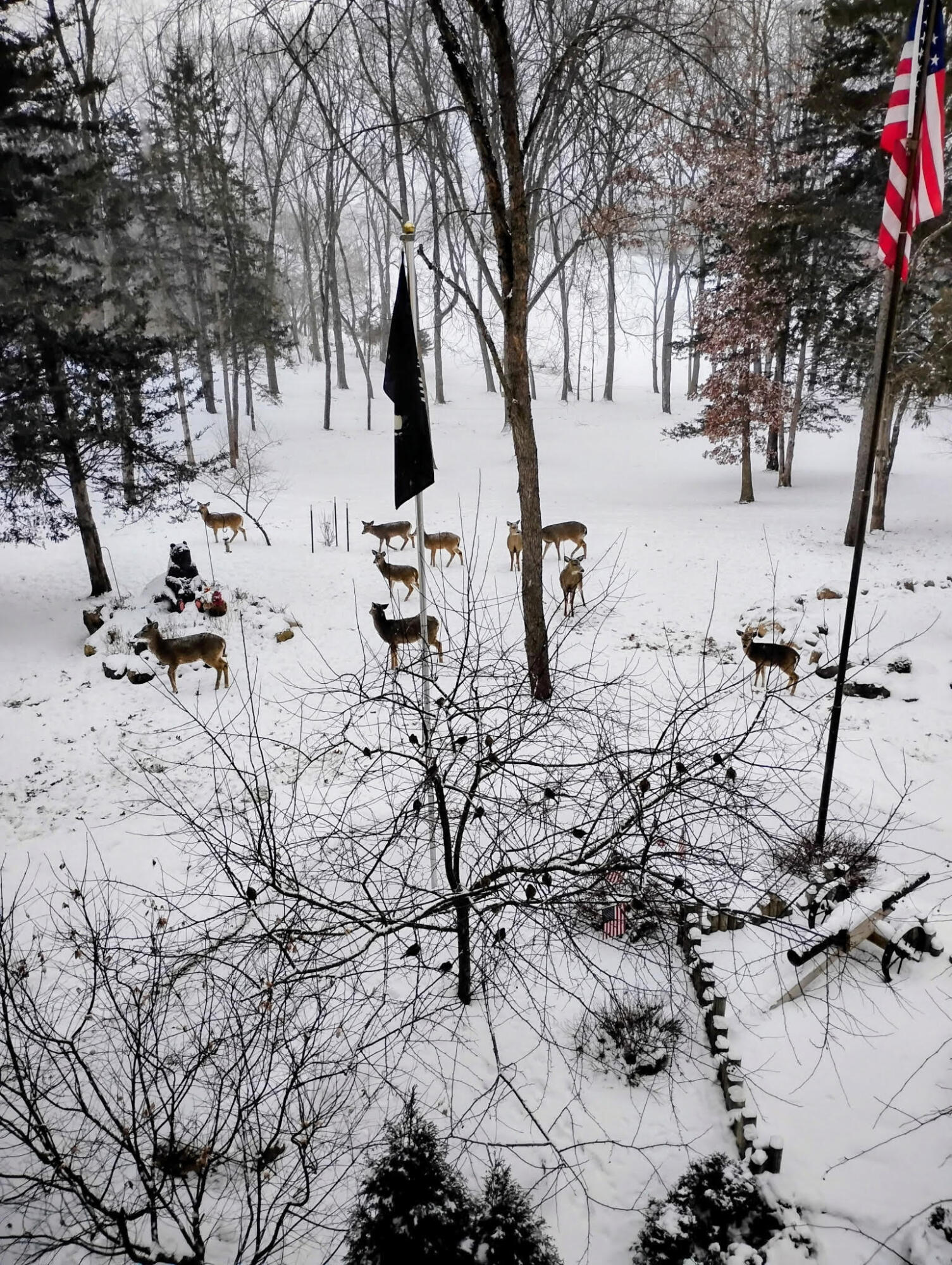 781 Hopkins Road Lyons, MI 48851 - Photo 122 of 128 deer in the snow