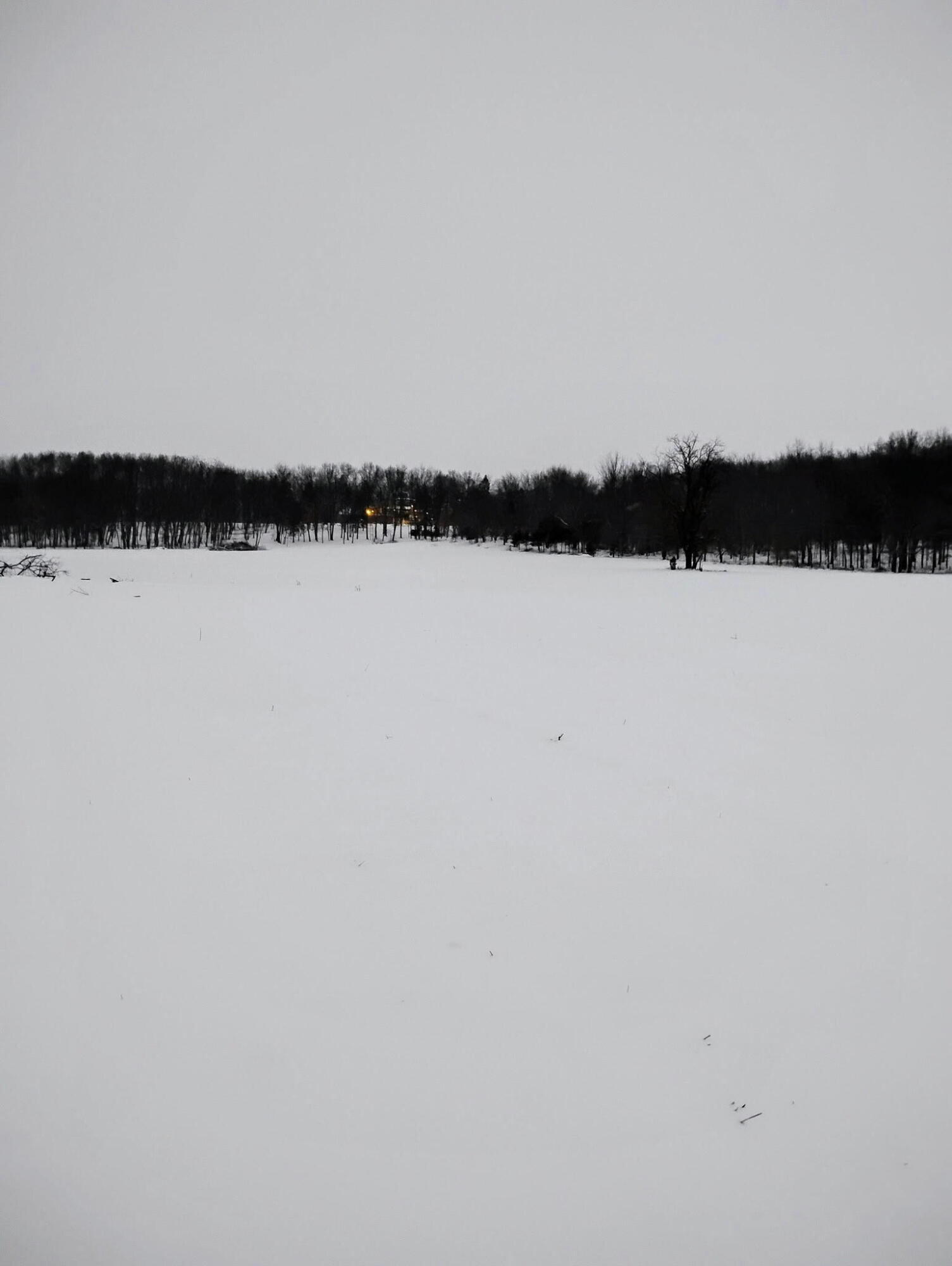 781 Hopkins Road Lyons, MI 48851 - Photo 124 of 128 snow