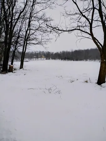 $3,329,000 | 781 Hopkins Road, Lyons, MI 48851