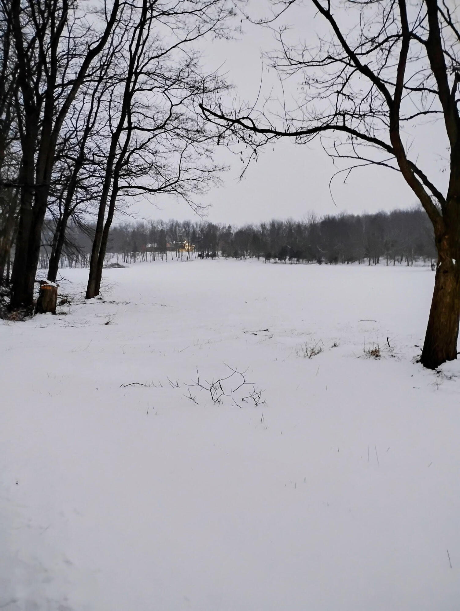 781 Hopkins Road Lyons, MI 48851 - Photo 125 of 128 winter wonderland