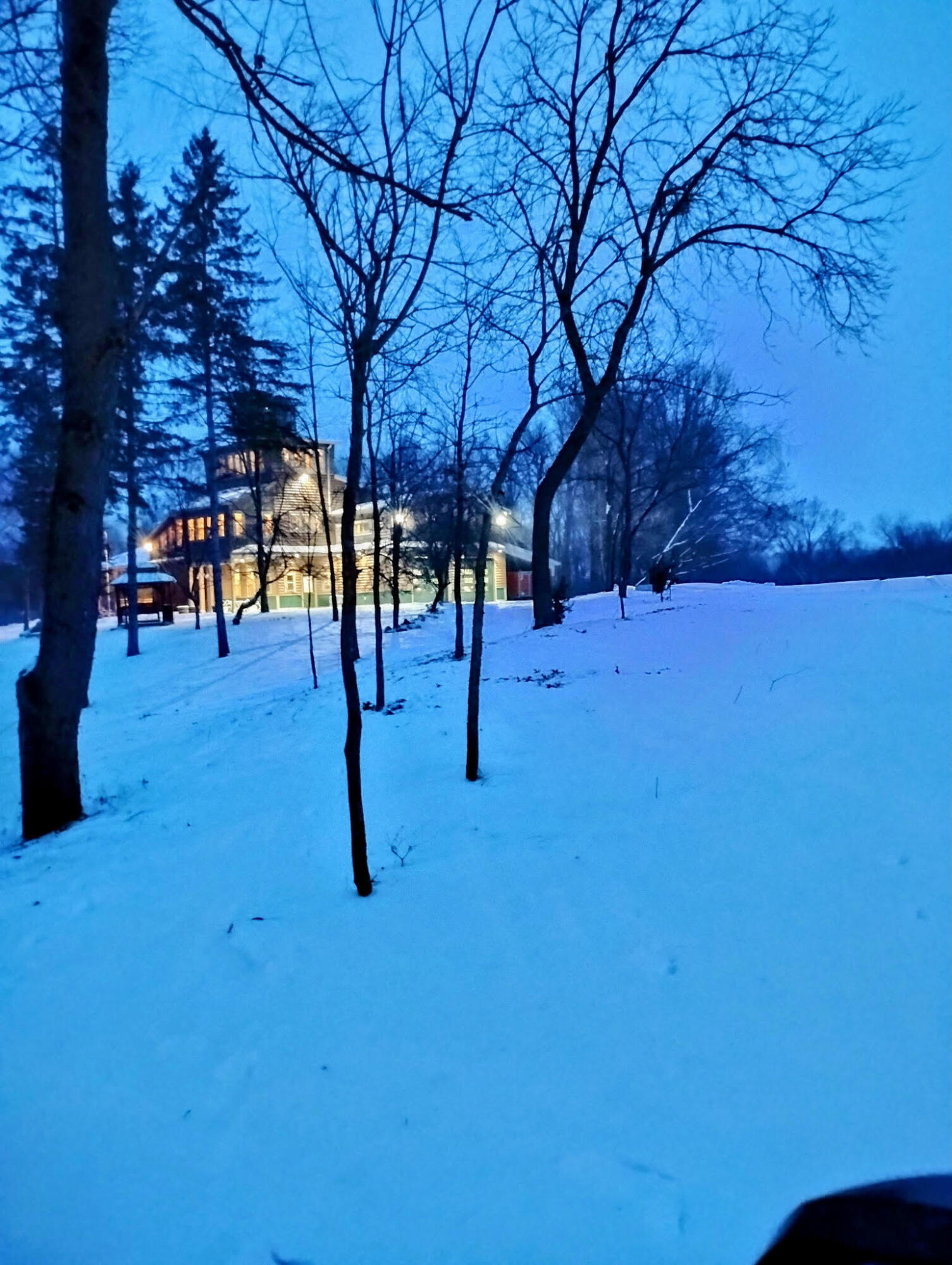 781 Hopkins Road Lyons, MI 48851 - Photo 126 of 128 all the lights on