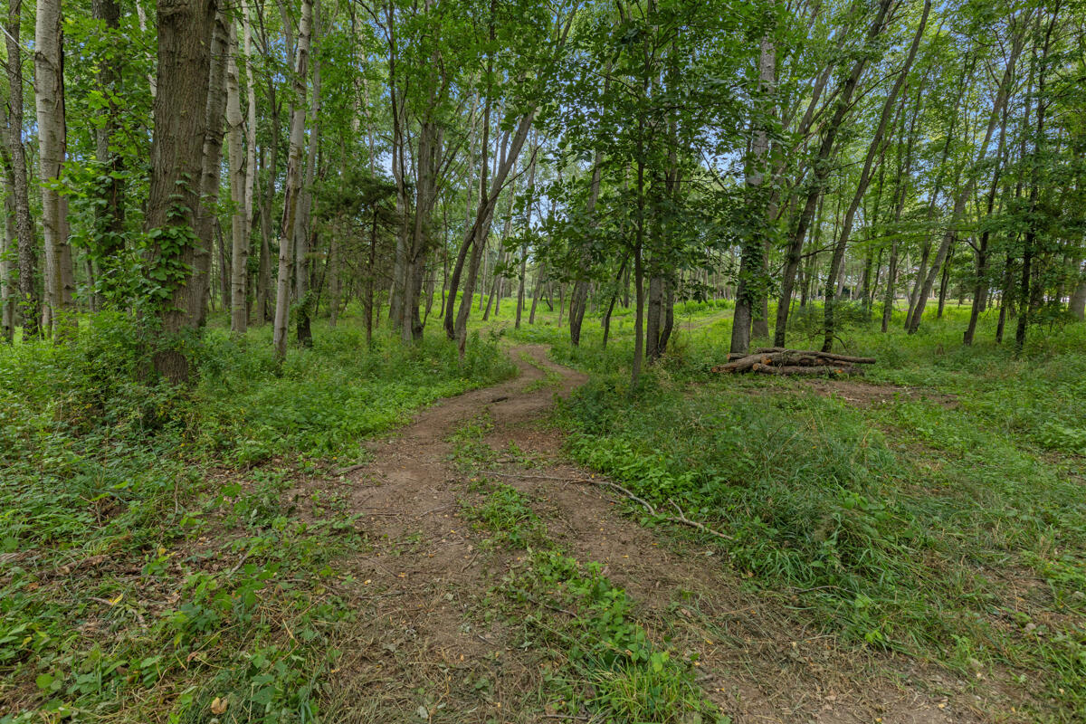 781 Hopkins Road Lyons, MI 48851 - Photo 18 of 128 IMG_1074