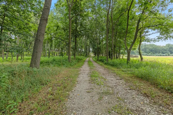 $3,329,000 | 781 Hopkins Road, Lyons, MI 48851