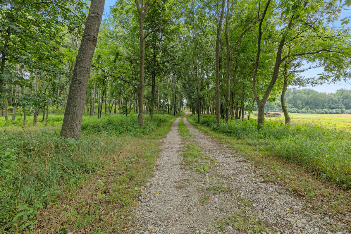 781 Hopkins Road Lyons, MI 48851 - Photo 20 of 128 IMG_1073