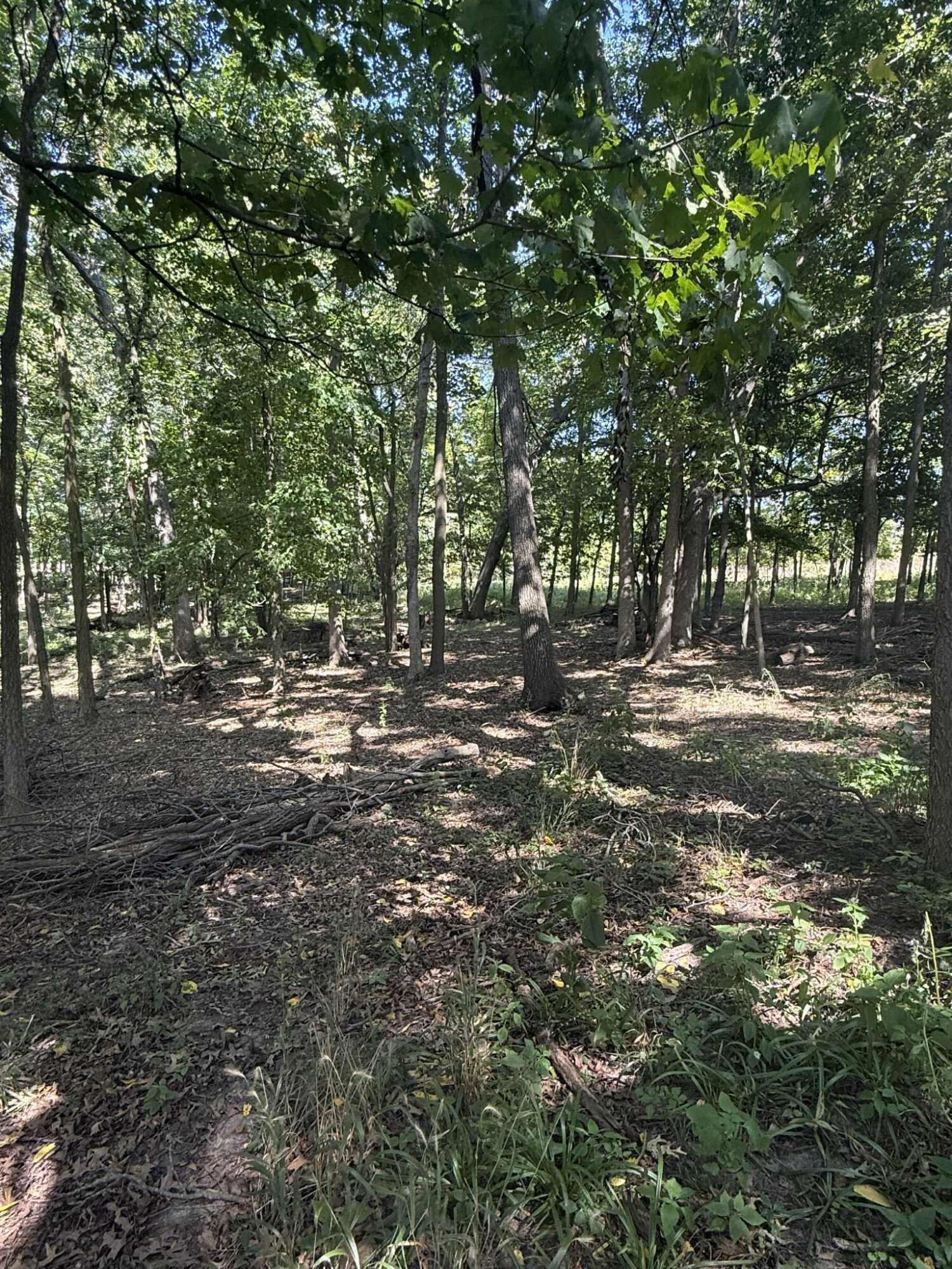 781 Hopkins Road Lyons, MI 48851 - Photo 99 of 128 ba855d89-36ca-40a6-b7e2-abe38a0183b6