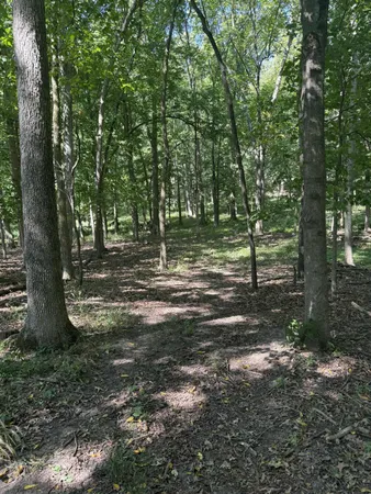 $3,329,000 | 781 Hopkins Road, Lyons, MI 48851