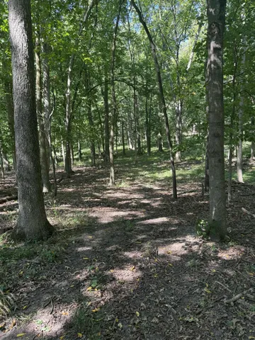 $3,329,000 | 781 Hopkins Road, Lyons, MI 48851