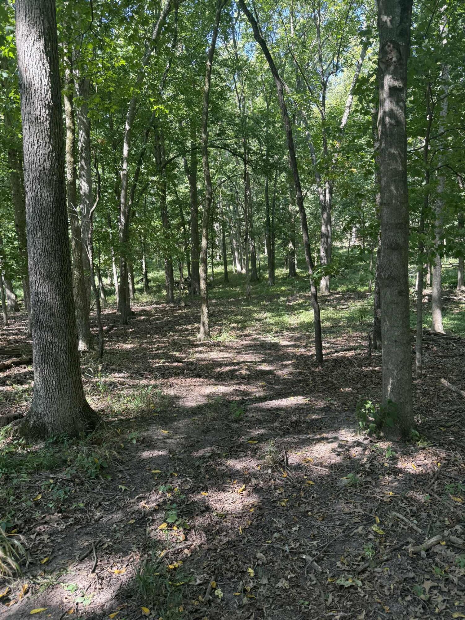 781 Hopkins Road Lyons, MI 48851 - Photo 100 of 128 1cac1538-aeaa-42a9-a0d5-b338a642a58c