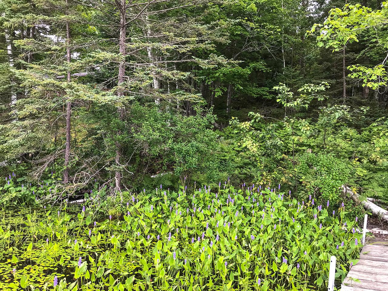 7267 Bluegill Lake Road Lake Tomahawk, WI 54539 - Photo 20 of 23 Gallery Image 20