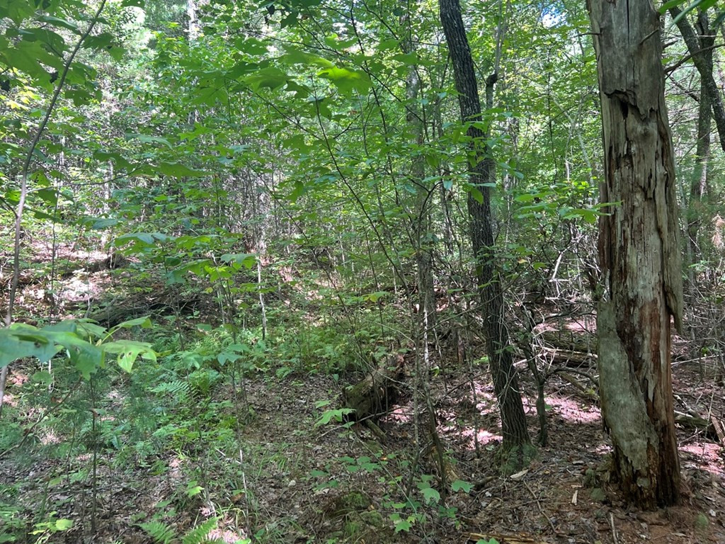 Lot 6-7 Donley Road Murphy, NC 28906 - Photo 9 of 14