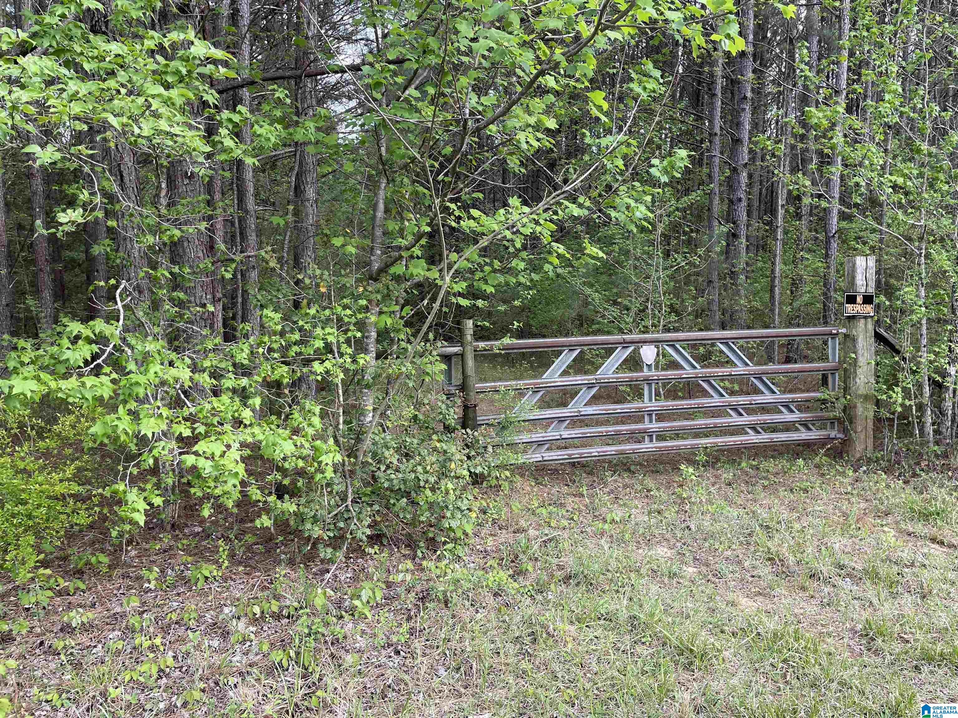 0 Bud Cummings Road, Unit 42 Roanoke, AL 36274 - Photo 1 of 5