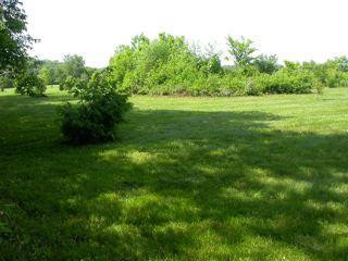 2975 Grimes Mill Road Lexington, KY 40515 - Photo 6 of 14 Photo 6