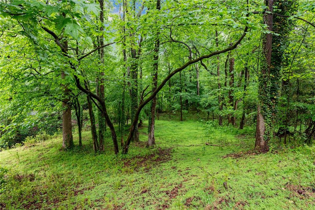 3582 Casteel Road Marietta, GA 30062 - Photo 42 of 55