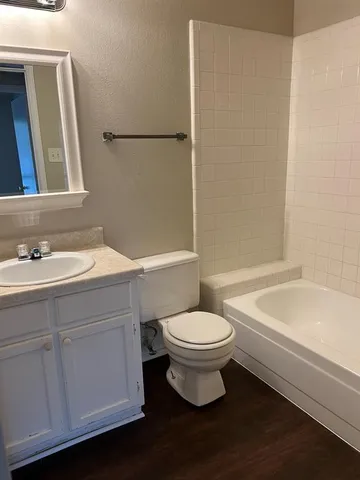 a bathroom with a sink a toilet a mirror and bathtub