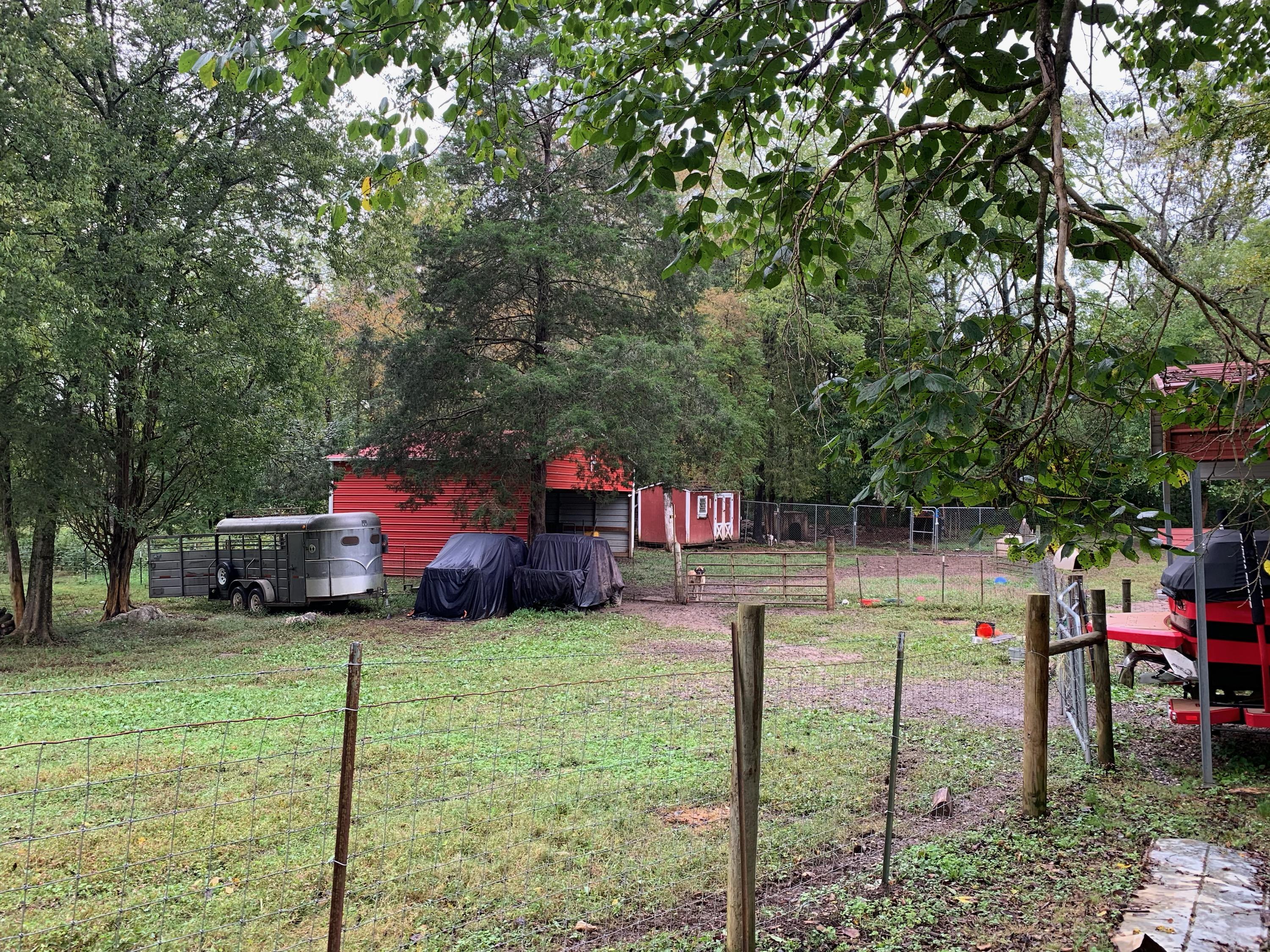 7717 Jim Wolfe Road Corryton, TN 37721 - Photo 4 of 27 98C88E5B-262D-4282-AD81-BC1358EE2E99