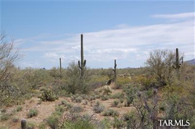 35000 South Owl Head Ranch Road, Unit 37000 Marana, AZ 85658 - Photo 2 of 13 Gallery Image 2