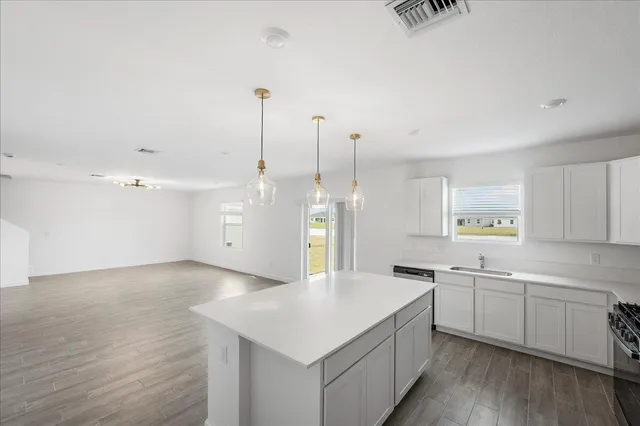 a kitchen with a sink and cabinets