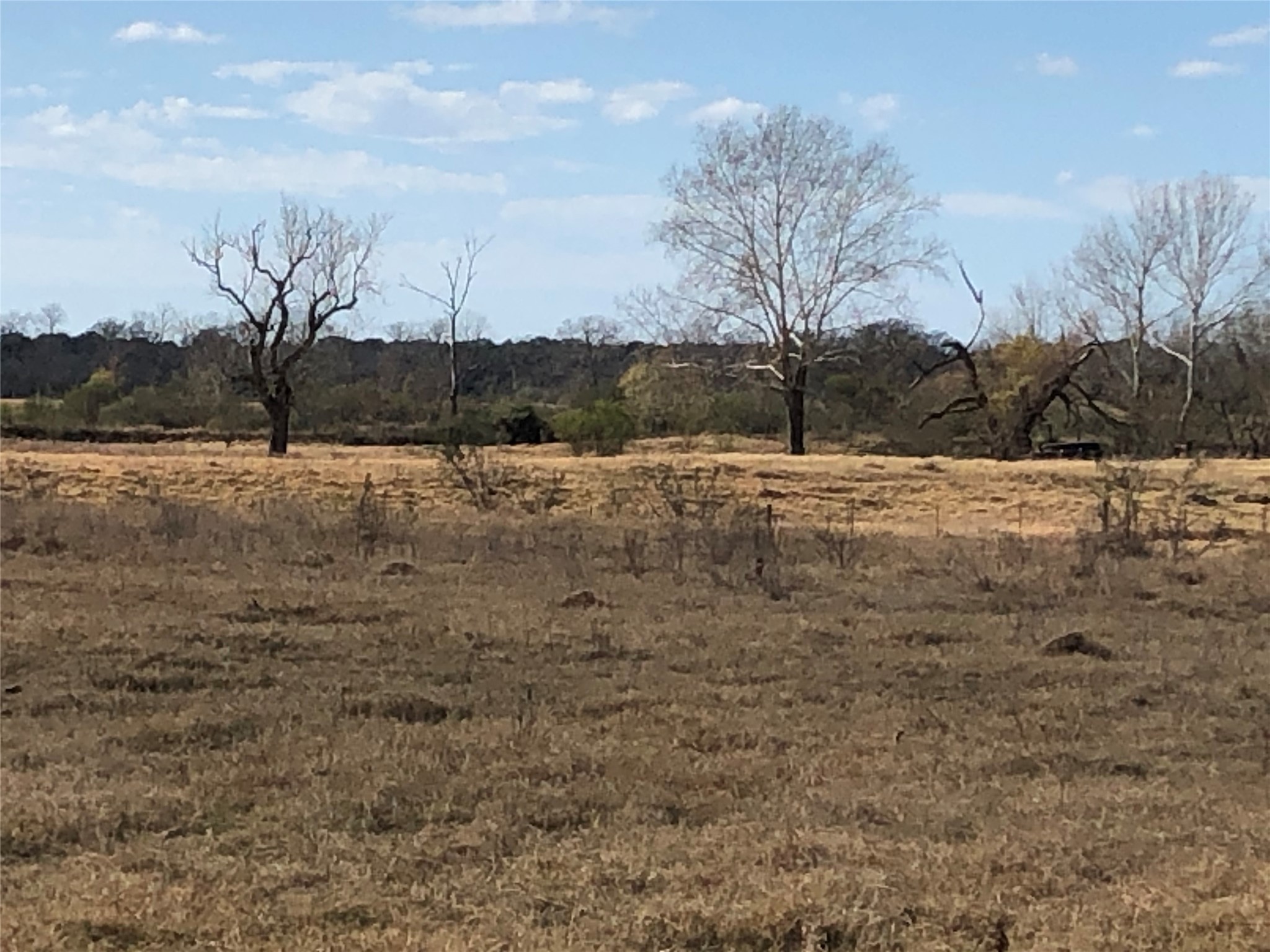 4390 Ih 10 Columbus, TX 78934 - Photo 5 of 13 a view of dirt yard with large trees