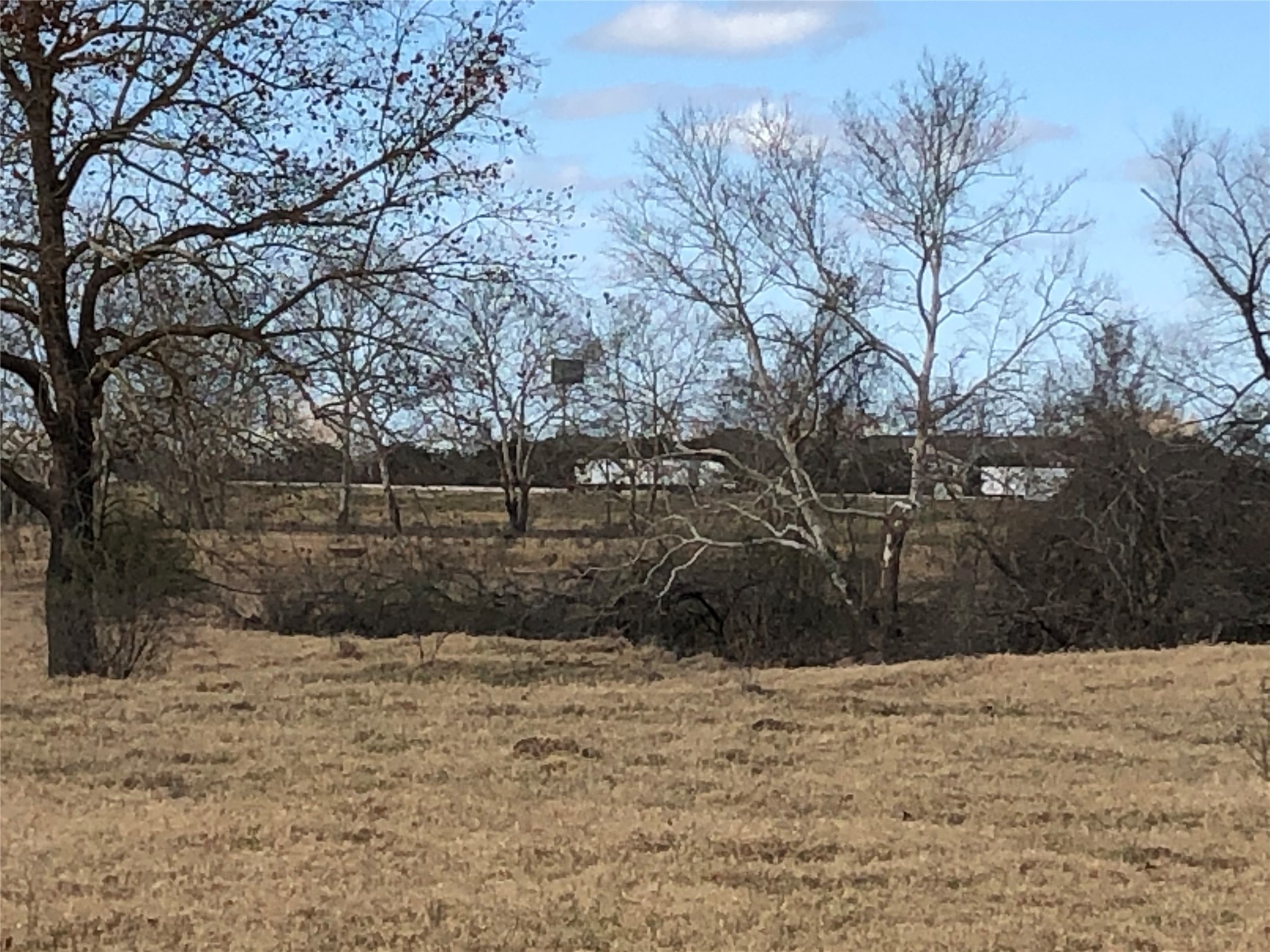 4390 Ih 10 Columbus, TX 78934 - Photo 6 of 13 a view of backyard and trees