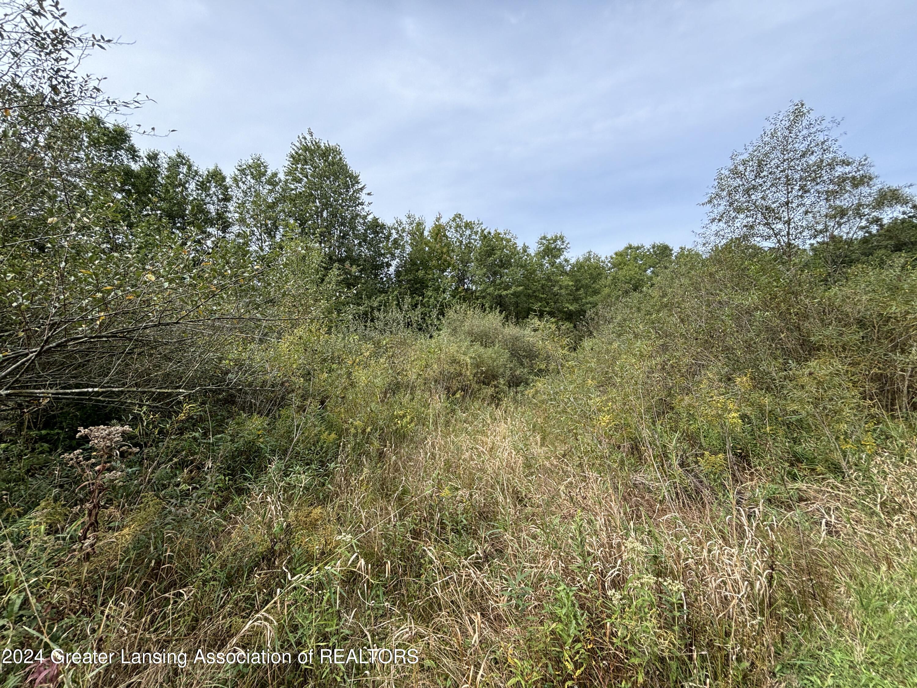 0 East Garfield Road Ashley, MI 48806 - Photo 6 of 12 IMG_0410
