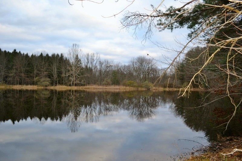 1809 Crayton Road Monroeton, PA 18832 - Photo 66 of 75 Gallery Image 66