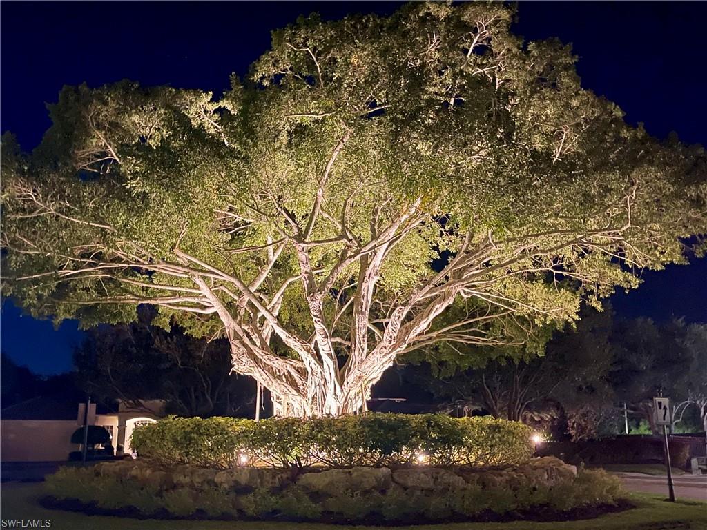 4971 Rustic Oaks Circle Naples, FL 34105 - Photo 49 of 50 a view of a yard
