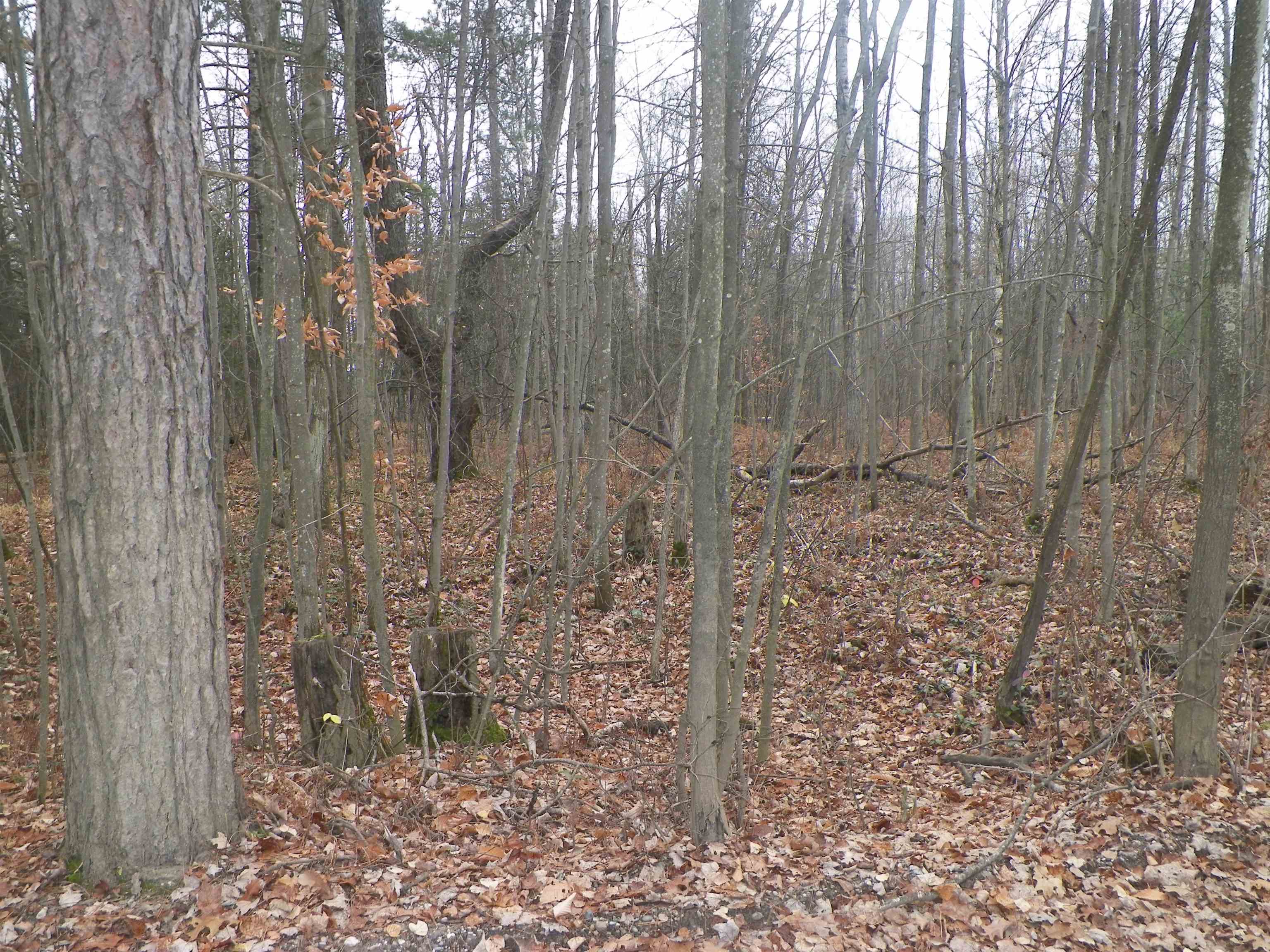 19 19 Mile Road Kingsley, MI 49649 - Photo 2 of 5