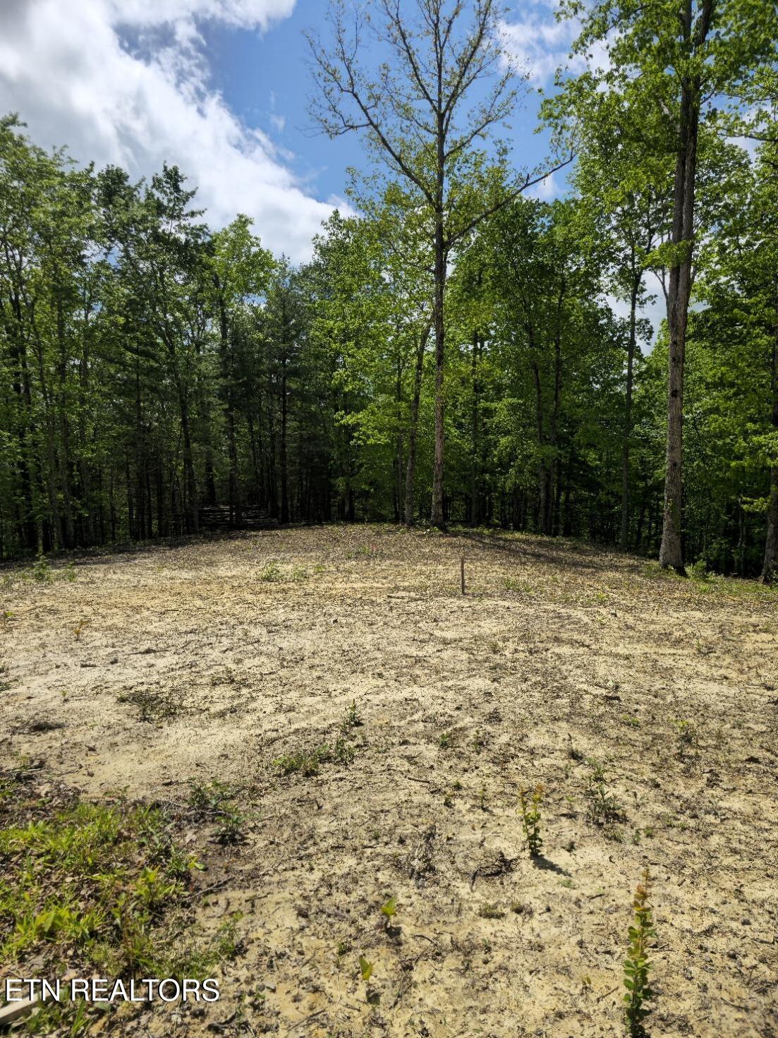 0 Carmel Ridge Robbins, TN 37852 - Photo 11 of 15 20260428_144447