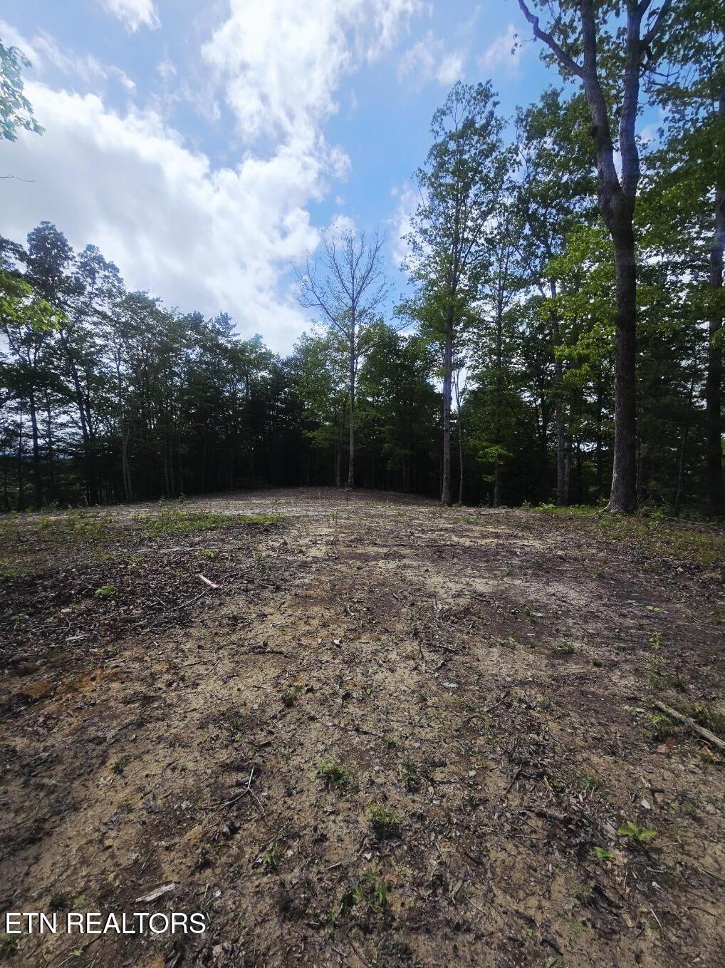 0 Carmel Ridge Robbins, TN 37852 - Photo 12 of 15 20260428_144413