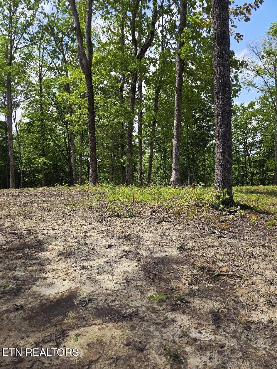 0 Carmel Ridge Robbins, TN 37852 - Photo 13 of 15 20260428_144404