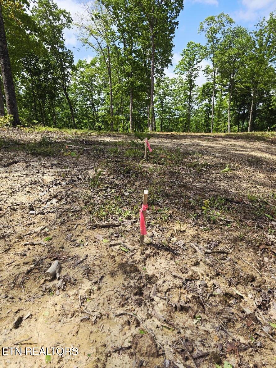 0 Carmel Ridge Robbins, TN 37852 - Photo 14 of 15 20260428_144357