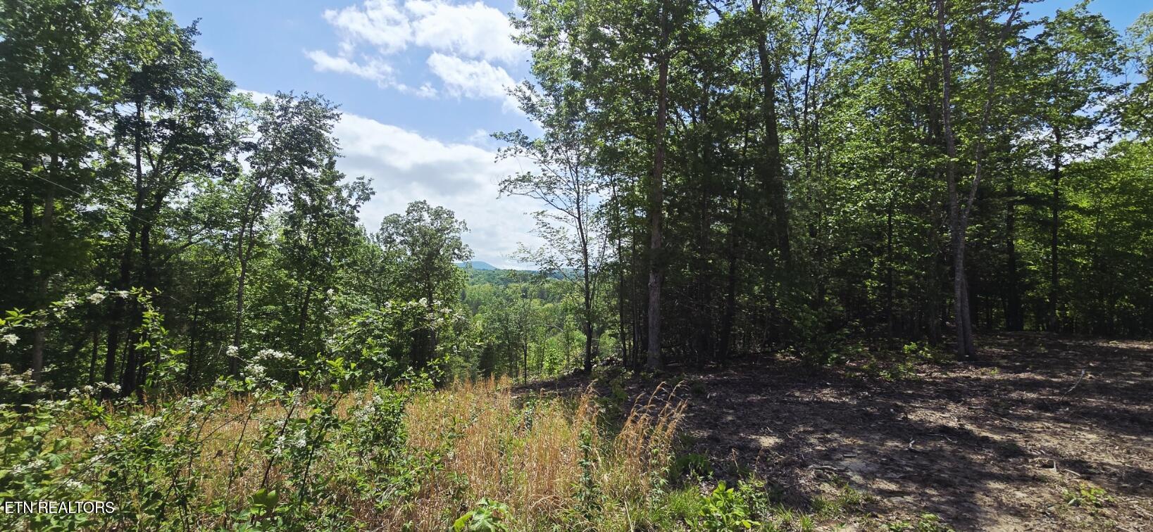 0 Carmel Ridge Robbins, TN 37852 - Photo 2 of 15 20260428_145355