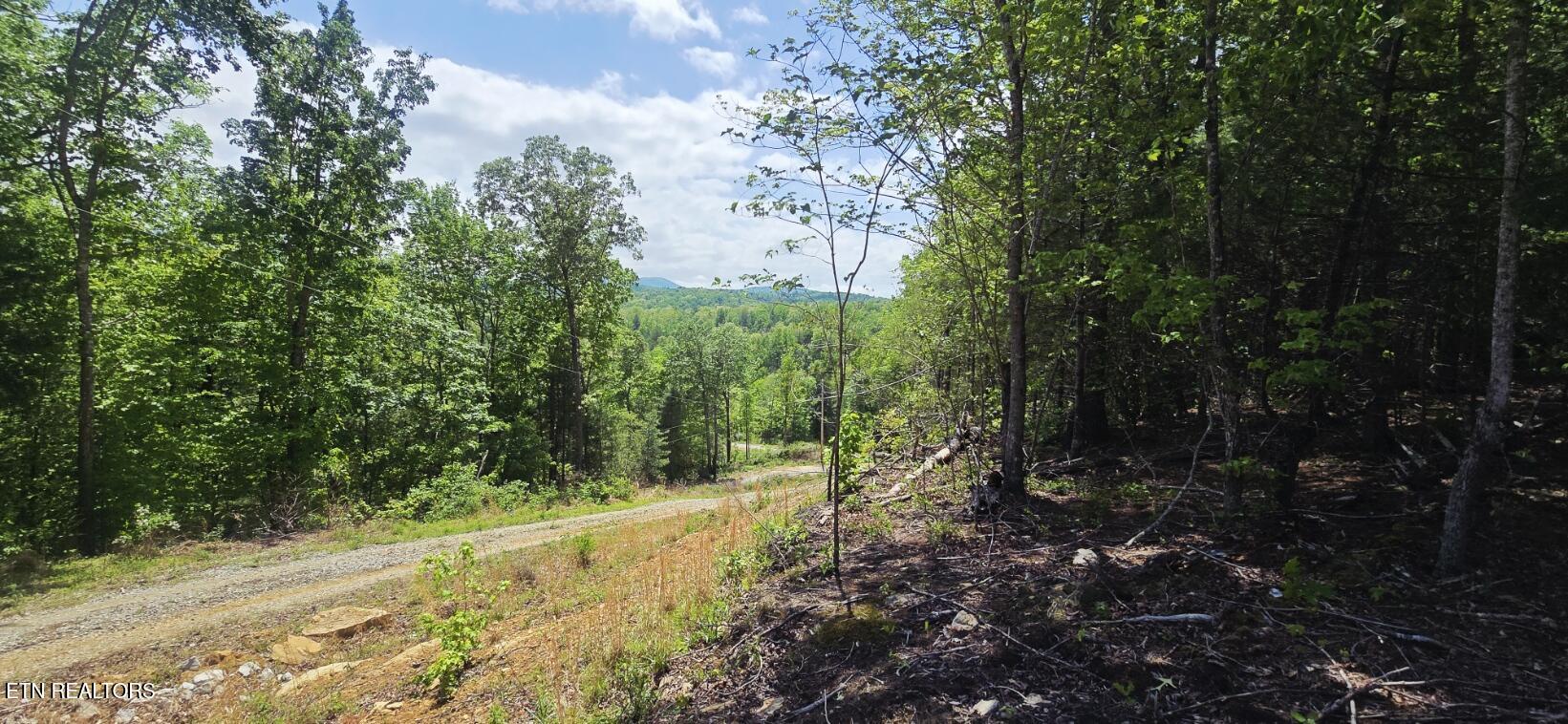 0 Carmel Ridge Robbins, TN 37852 - Photo 3 of 15 20260428_145429