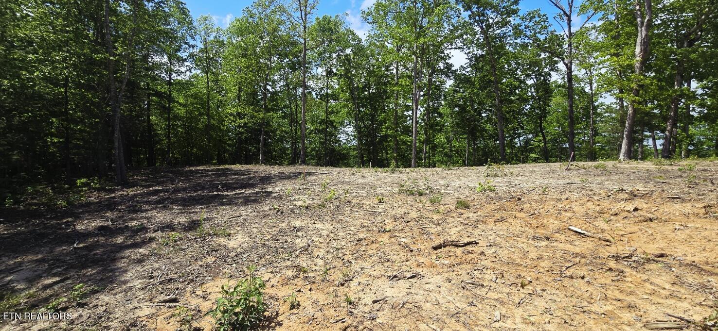 0 Carmel Ridge Robbins, TN 37852 - Photo 6 of 15 20260428_145412