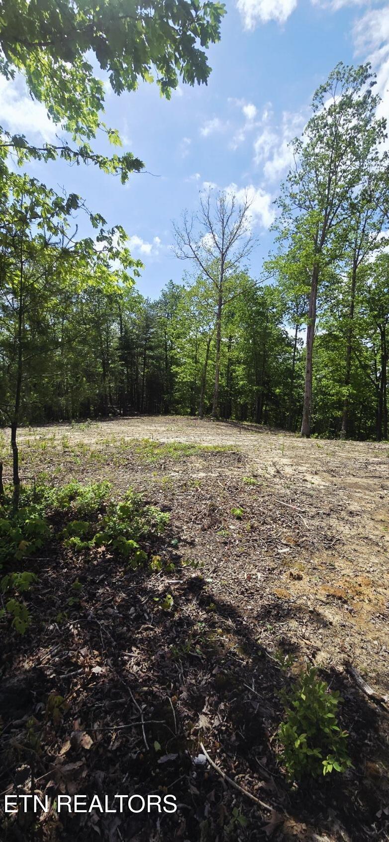 0 Carmel Ridge Robbins, TN 37852 - Photo 8 of 15 20260428_145925